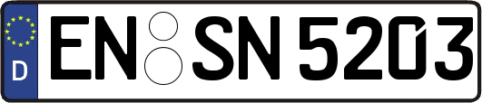 EN-SN5203
