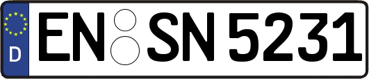 EN-SN5231