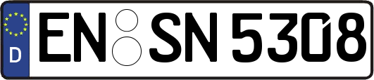 EN-SN5308