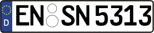 EN-SN5313