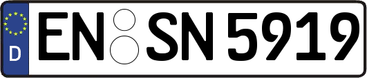 EN-SN5919