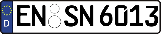 EN-SN6013