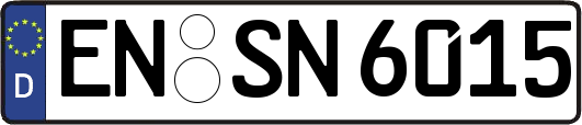 EN-SN6015
