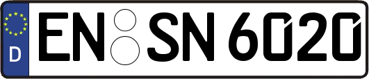 EN-SN6020