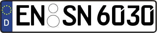 EN-SN6030