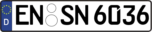 EN-SN6036