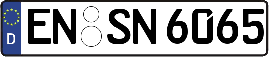 EN-SN6065