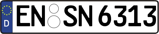 EN-SN6313