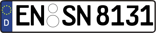 EN-SN8131