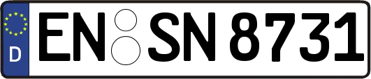 EN-SN8731
