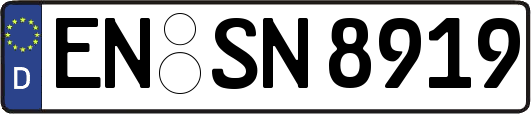 EN-SN8919