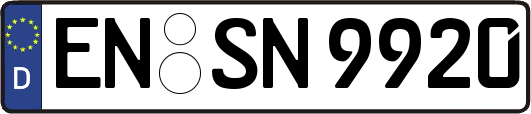 EN-SN9920