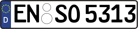 EN-SO5313