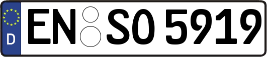EN-SO5919