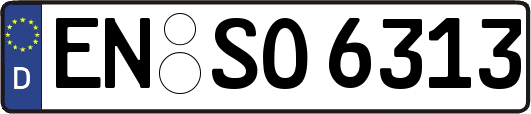 EN-SO6313