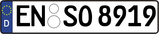 EN-SO8919