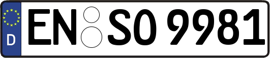 EN-SO9981