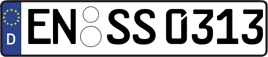EN-SS0313