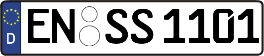 EN-SS1101