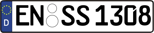 EN-SS1308