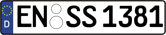 EN-SS1381