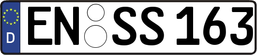 EN-SS163