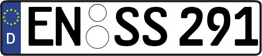 EN-SS291