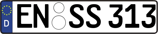EN-SS313