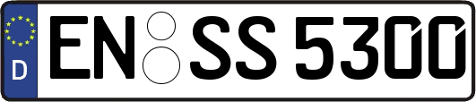 EN-SS5300