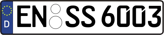 EN-SS6003