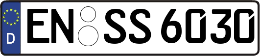 EN-SS6030
