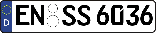 EN-SS6036