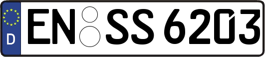 EN-SS6203