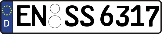 EN-SS6317