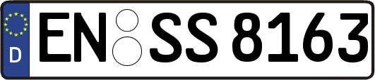 EN-SS8163