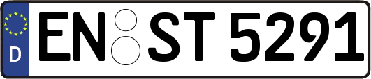 EN-ST5291