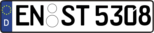 EN-ST5308