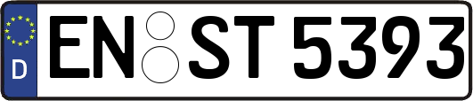 EN-ST5393