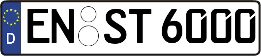 EN-ST6000