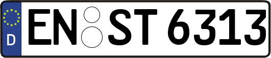EN-ST6313