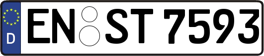 EN-ST7593