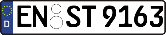 EN-ST9163
