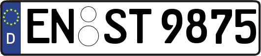 EN-ST9875