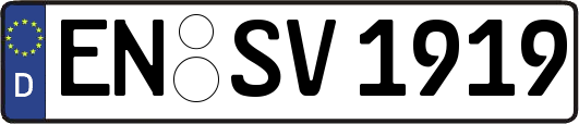 EN-SV1919