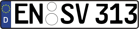 EN-SV313