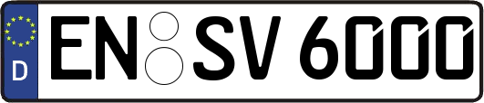 EN-SV6000