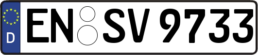 EN-SV9733