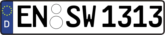 EN-SW1313