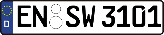 EN-SW3101