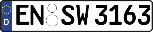 EN-SW3163
